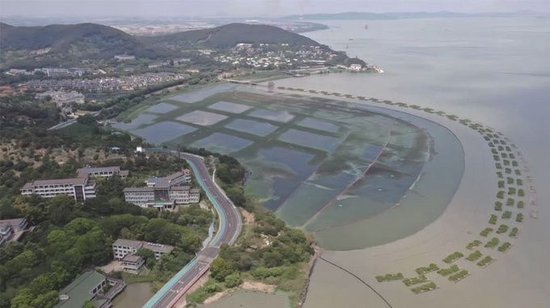太湖梅梁湖区生态修复工程