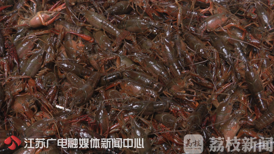 “龙虾季”外卖平台店铺问题频出 监管部门：整改！