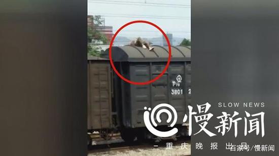 情侣想当网红爬火车拍抖音 男子惨被高压电烧伤险送命