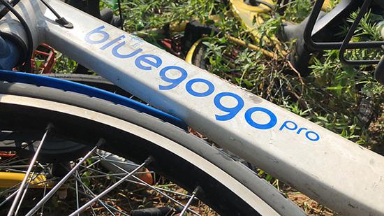 被弃置的bluegogo。