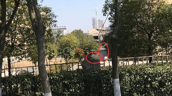 图片显示围栏灯碎裂,内部道路上散落着石块。目击者供图