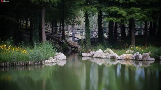 江苏最美高校图鉴 哪一座是你心目中最爱