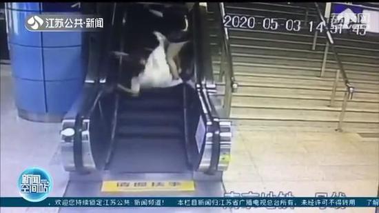 电梯安全|危险！电扶梯上千万别依靠侧面裙板 容易使人摔倒