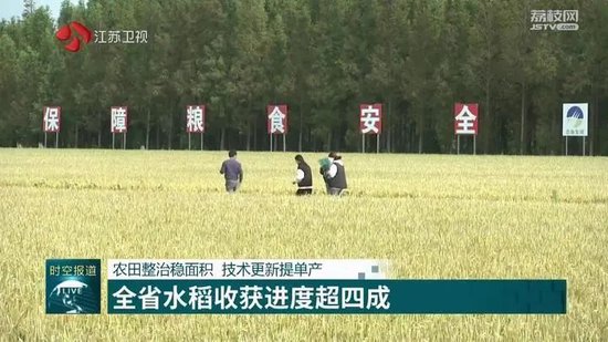 農田整治穩面積 技術更新提單產 江蘇水稻收獲進度超四成
