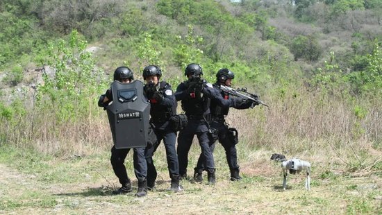 图释:特警队员开展野外追捕突击训练 拍摄:赵阳