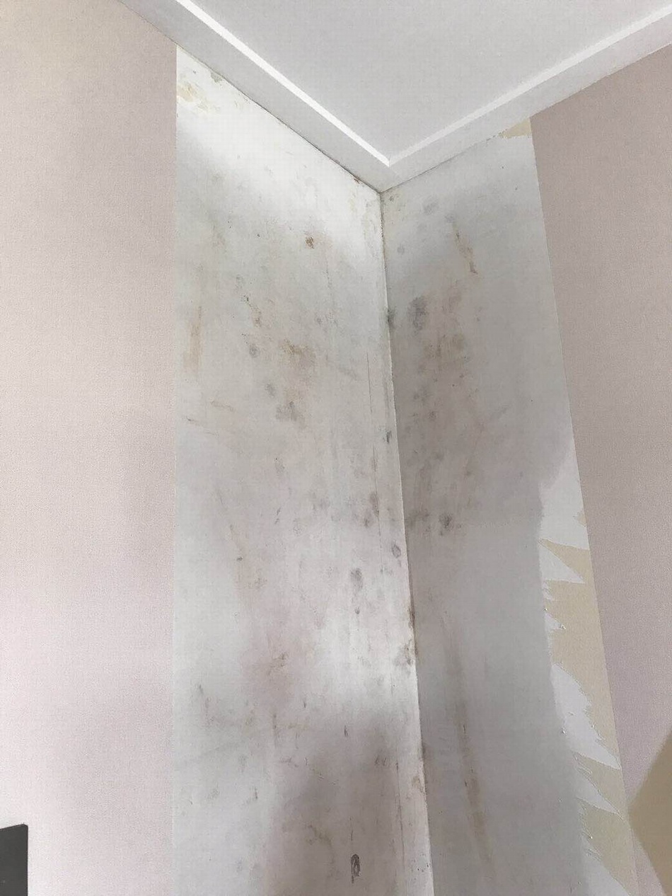 房屋内部渗漏水,引发墙纸鼓起、发霉。