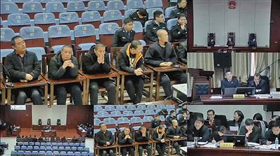 国林等14名被告人出庭受审。河北省法院庭审直播网视频截图
