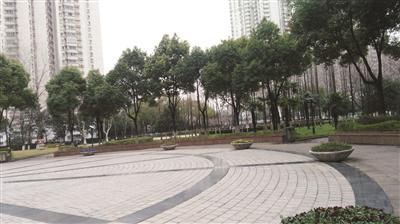 南京主城区第二批杨树更新改造全面启动 跟飘絮说拜拜