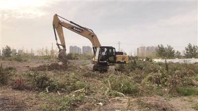 阿里巴巴江苏总部工地附近“都市菜园”被清理