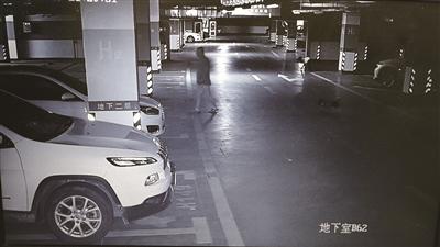 南京男子偷盗让狗“望风”不料反被狗狗出卖