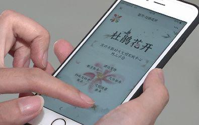 杜鹃花开——宜兴市新时代文明实践中心网上平台