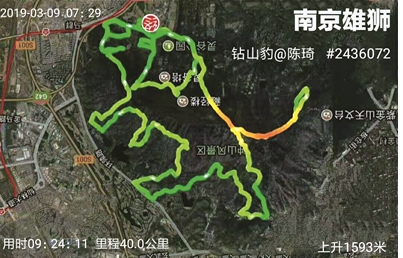 南京雄狮