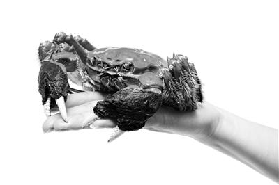 8只螃蟹7只短斤少两 “固城湖畔”包装名堂多