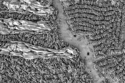 无处安放！摄影师用照片记录共享单车尴尬境地