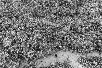 无处安放！摄影师用照片记录共享单车尴尬境地