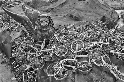 无处安放！摄影师用照片记录共享单车尴尬境地