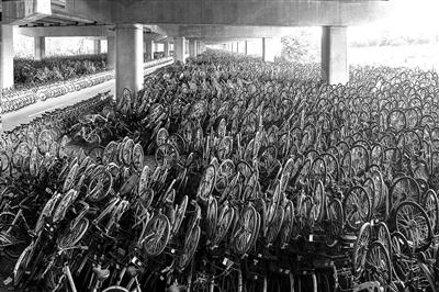 无处安放！摄影师用照片记录共享单车尴尬境地