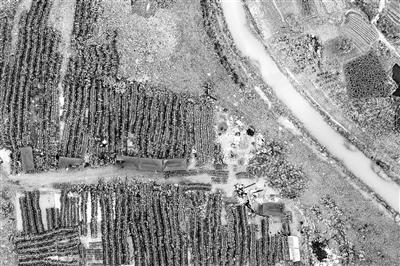 无处安放！摄影师用照片记录共享单车尴尬境地