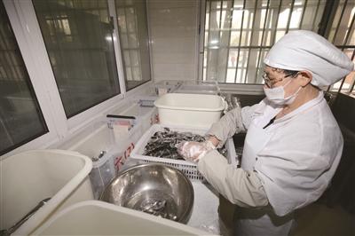 中小学食堂后厨长啥样 带你瞧瞧这两所样板校