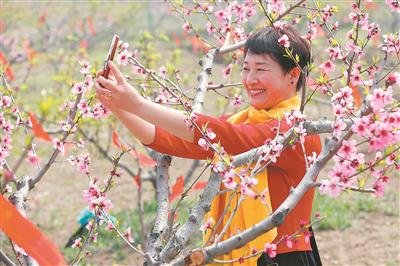 万人生态桃花宴