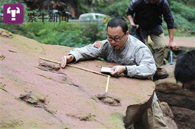 邢立达副教授组织专家团队实地考证