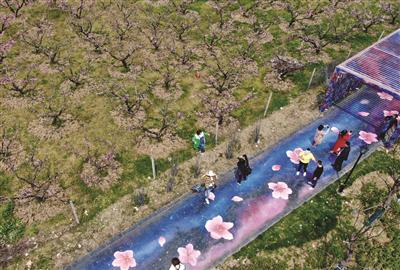 清明天气关键词:晴朗、大风、燥热