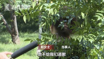 女孩拍写真照时遭摄影师猥亵：碰触胸部下体