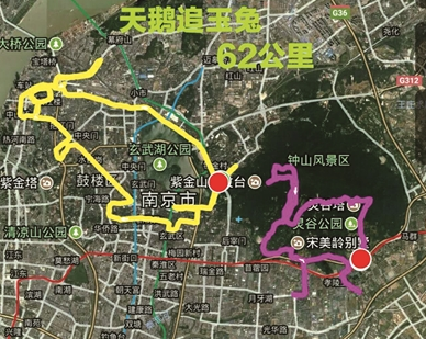 天鹅追玉兔