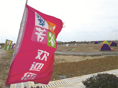 南京江宁百亩花海变草海 游客惊呼被景区美颜照骗了