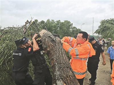 10日,东海县风雨交加、暴雨如注。236省道孔白段多棵行道树被吹倒,公路、交警部门及时除险。 李 娇摄 视觉江苏网供图