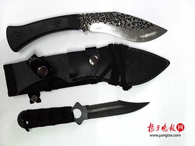 俩钓鱼爱好者为杀鱼方便携带管制刀具 被警方调查