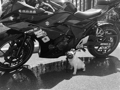 小偷两次用“货拉拉”下单偷摩托：司机不是同伙