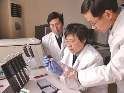 扬泰地区首位女法医用DNA破案无数