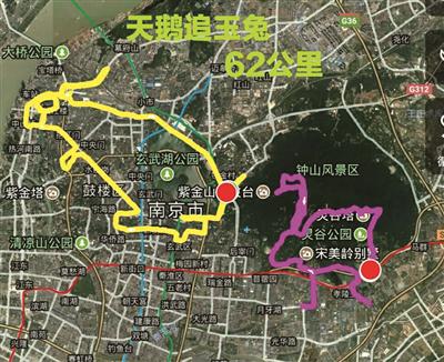 陈建伟供图
