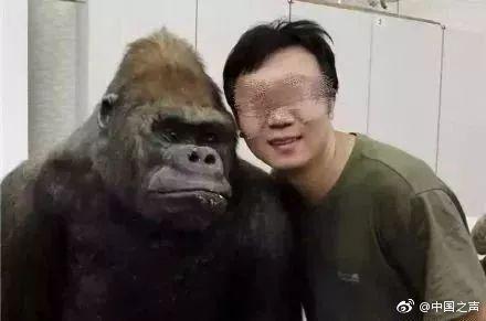 张鹏 图片来自@中国之声 微博