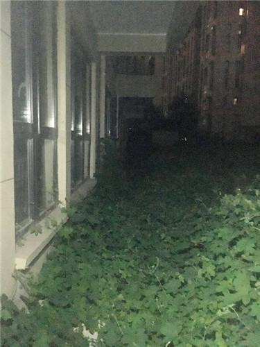 南京一高档小区幼儿园建成2年未开园：无路入园