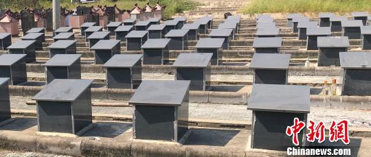 男子墓地盗得一部陪葬手机 转账获利近万元后被抓