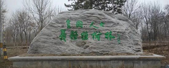 贺超兵先生成功推荐孙晓云为全国人大题写“全国人大义务植树林”