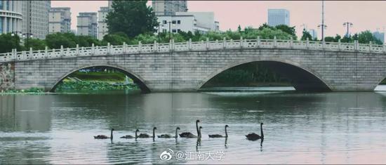 江苏最美高校图鉴 哪一座是你心目中最爱