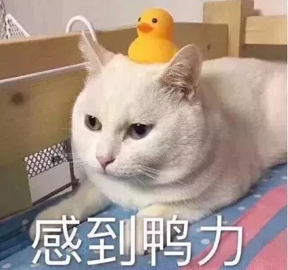 天！等待着江苏人的不仅是雨水 还有创新高的气温