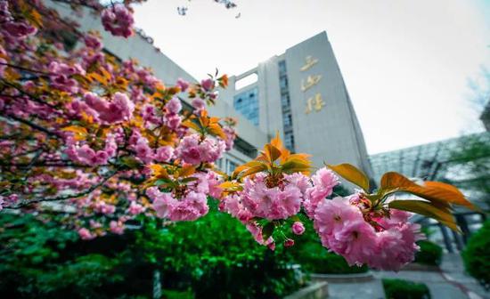 江苏大学发布2018年招生章程 最低标准为4C1合格