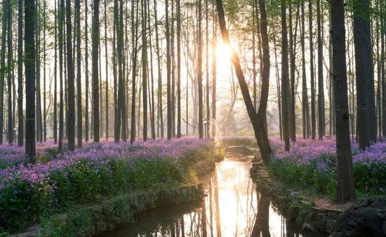 江苏最美高校图鉴 哪一座是你心目中最爱