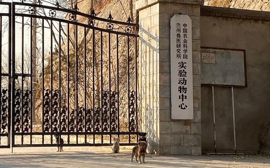 兰州兽研所布病迷局：一起非典型布鲁氏菌感染事件