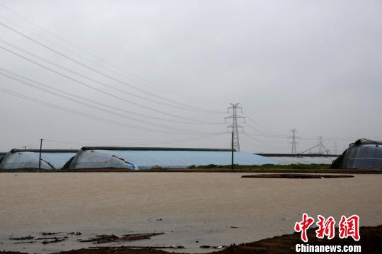 受台风“利奇马”影响,“蔬菜之乡”山东寿光及周边县市自8月10日起普降特大暴雨,灾情较为严重。 梁犇 摄