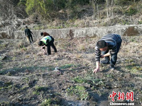 因为五角钱硬币是黄色的,与高速公路边枯草颜色很接近,很难分辨 警方提供
