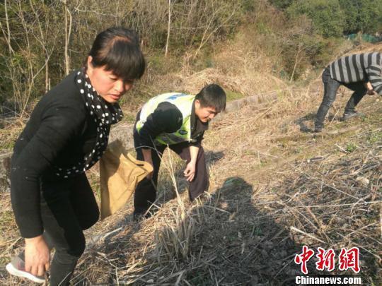 因为五角钱硬币是黄色的,与高速公路边枯草颜色很接近,很难分辨 警方提供