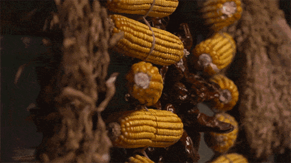 7个父母6个名字，他用15年返日却用60年归华