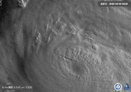 应对台风利奇马 水利部同时派3个工作组分赴江浙沪协助