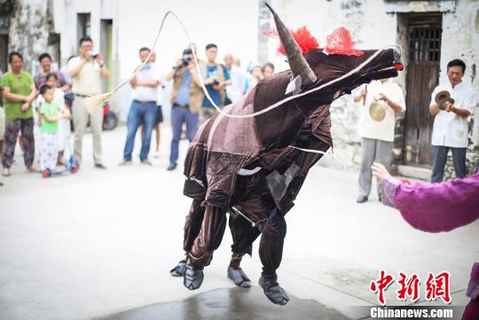 “调犟牛”是江苏常州特色文艺表演,历史悠久。表演时三人一组,其中一人扮牧童,两人搭档扮一头牛。 泱波 摄