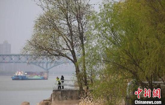 南京■南京发力根治“长江病”:打造九大滨江“客厅”重现岸绿景美